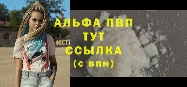 дмт Бородино