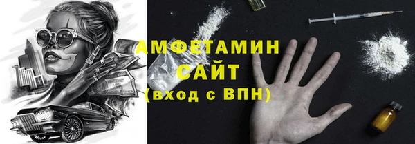 дмт Бородино