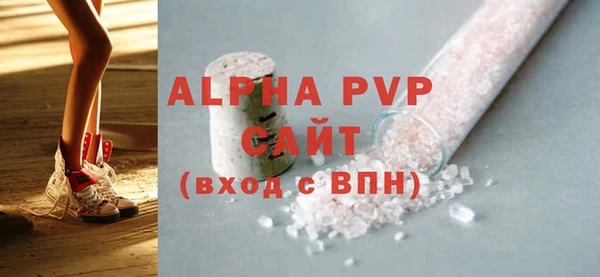 дмт Бородино