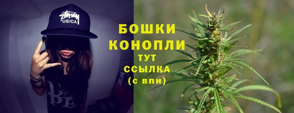 дмт Бородино