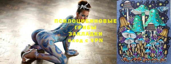 дмт Бородино