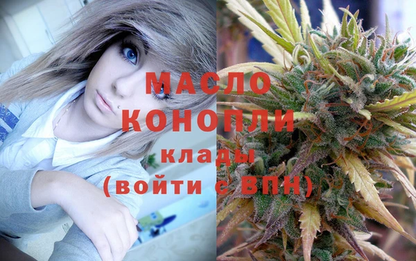 дмт Бородино