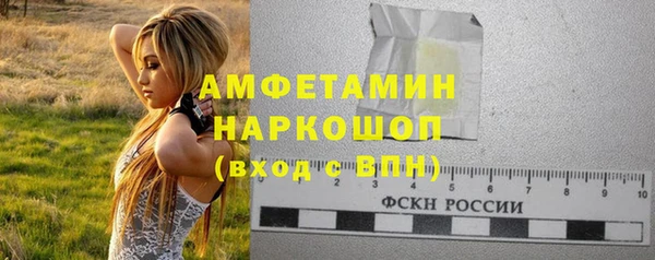 дмт Бородино