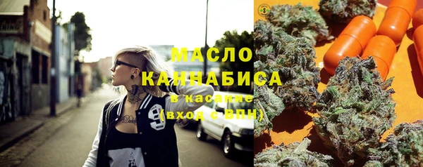 дмт Бородино