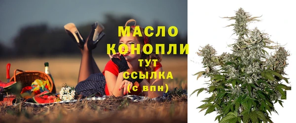 дмт Бородино