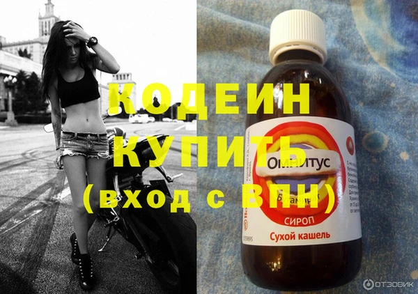 дмт Бородино